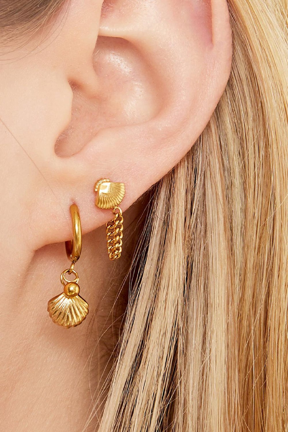 Boucles d'oreilles Hanging Shell Acier inoxydable h5Image2